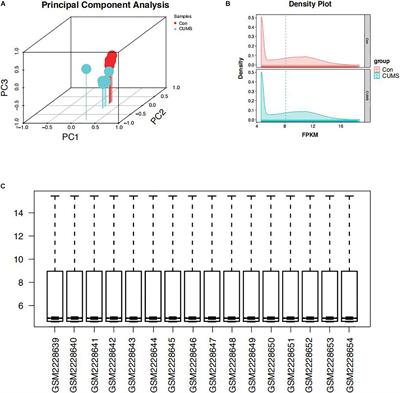 Wfs1 and Related Molecules as Key Candidate Genes in the Hippocampus of Depression